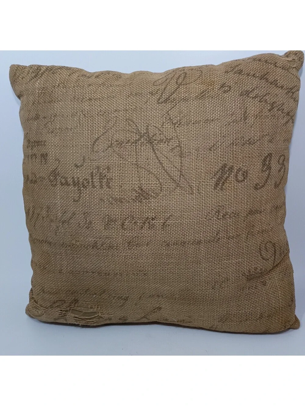 Burlap Embroidered Blue Pheasant Peacock Pillow Script 15 x 15 READ